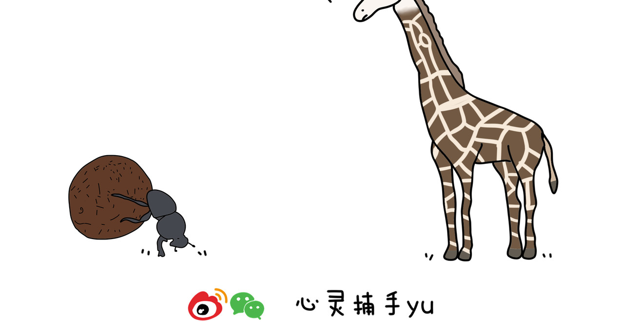 动物联盟 都是我的菜 第4页