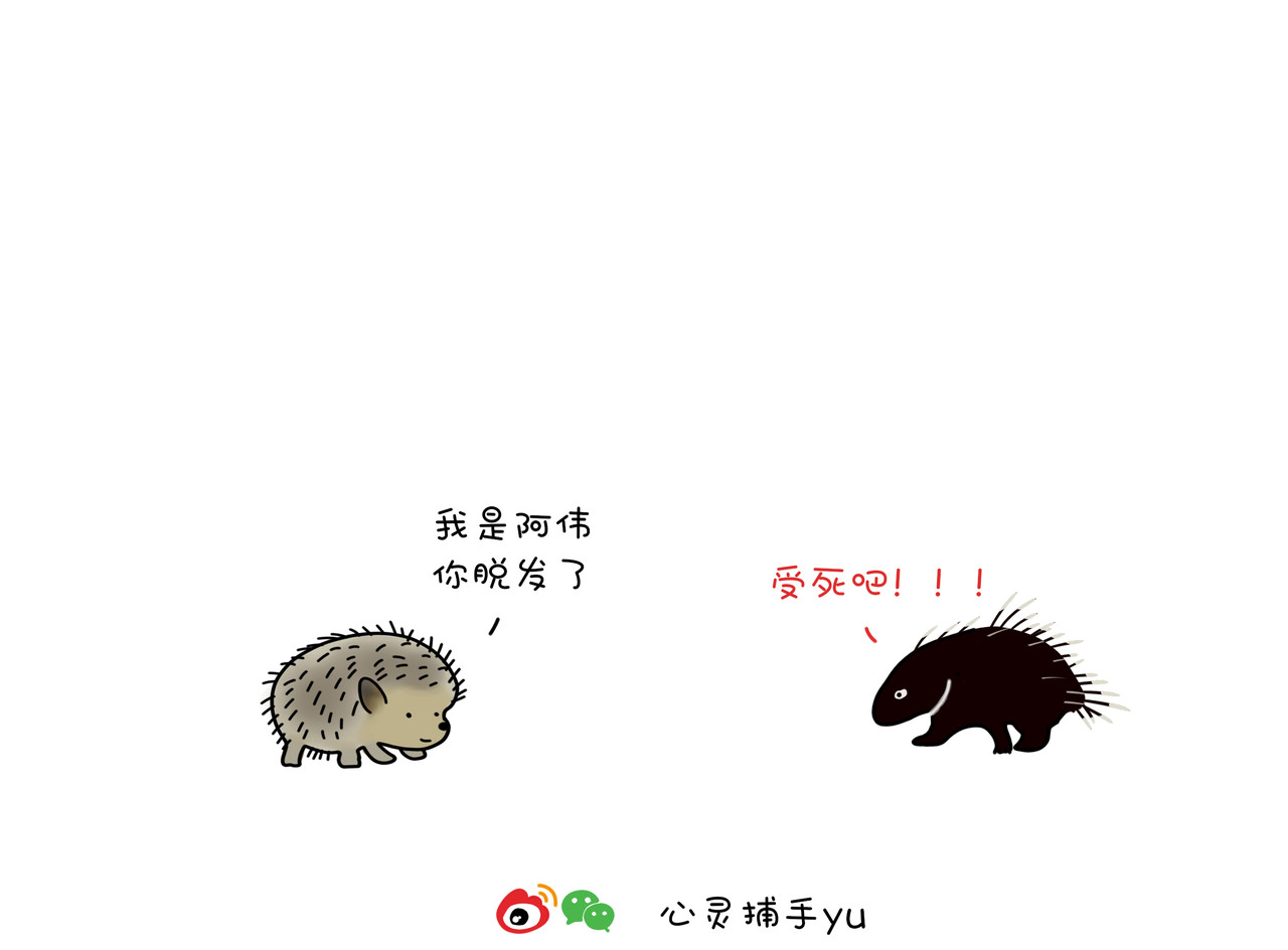 动物联盟 我每天想的都是…… 第10页