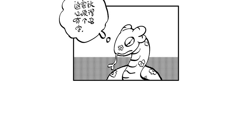 hello!蒲公英 名字2 第4页