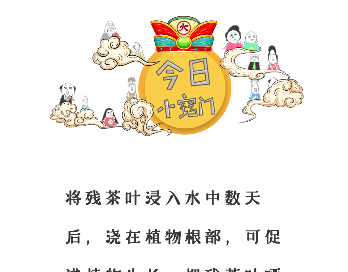 火锅家族第三季 离开水的鱼 第12页