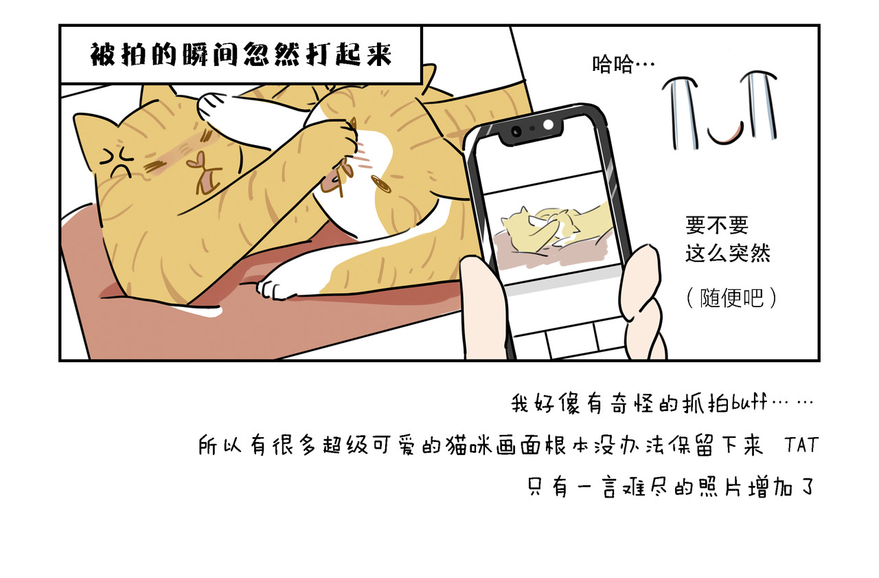 么一嗷喵(卷一) 【4-6】话 第13页