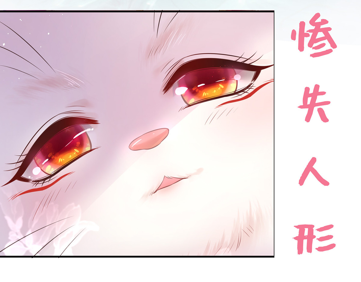 养兽为妃 序：对兽下手，禽兽不如！ 第13页