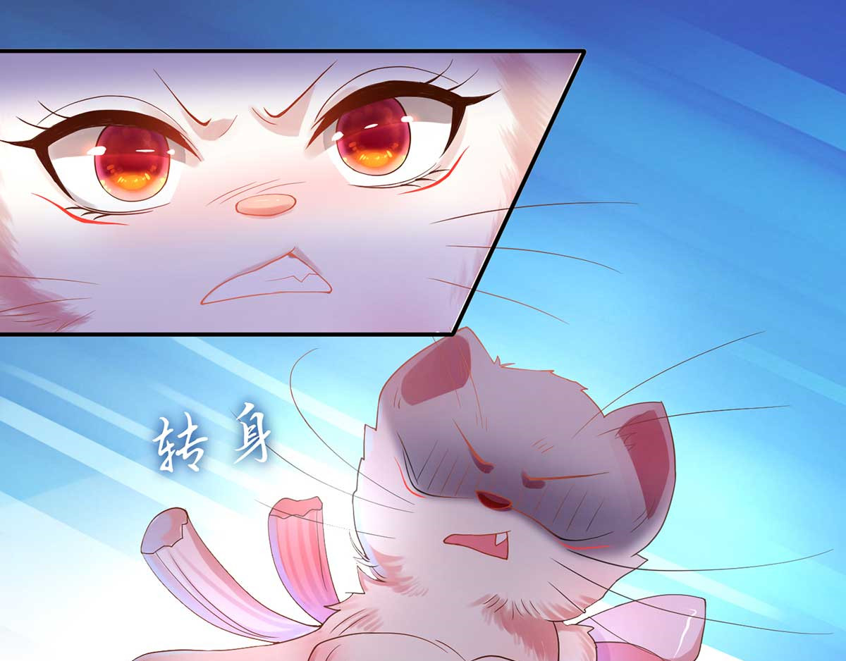 养兽为妃 第1话 以牙还牙 第135页