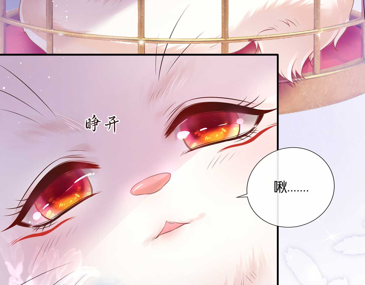 养兽为妃 第1话 以牙还牙 第46页