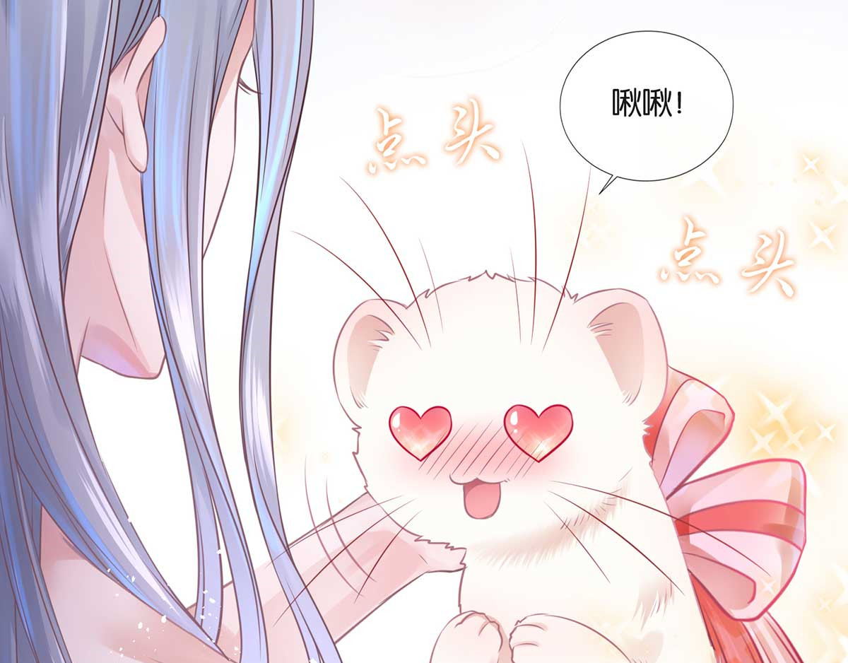 养兽为妃 第1话 以牙还牙 第64页