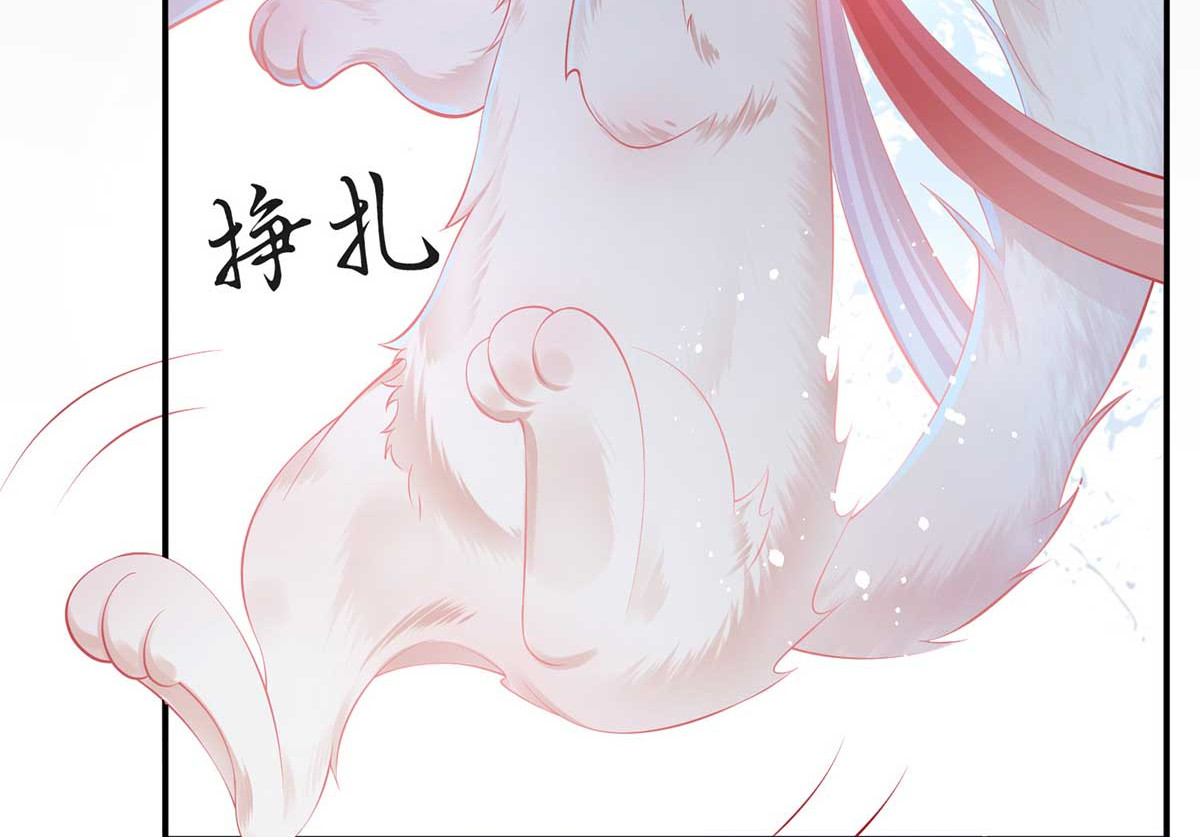 养兽为妃 第1话 以牙还牙 第77页