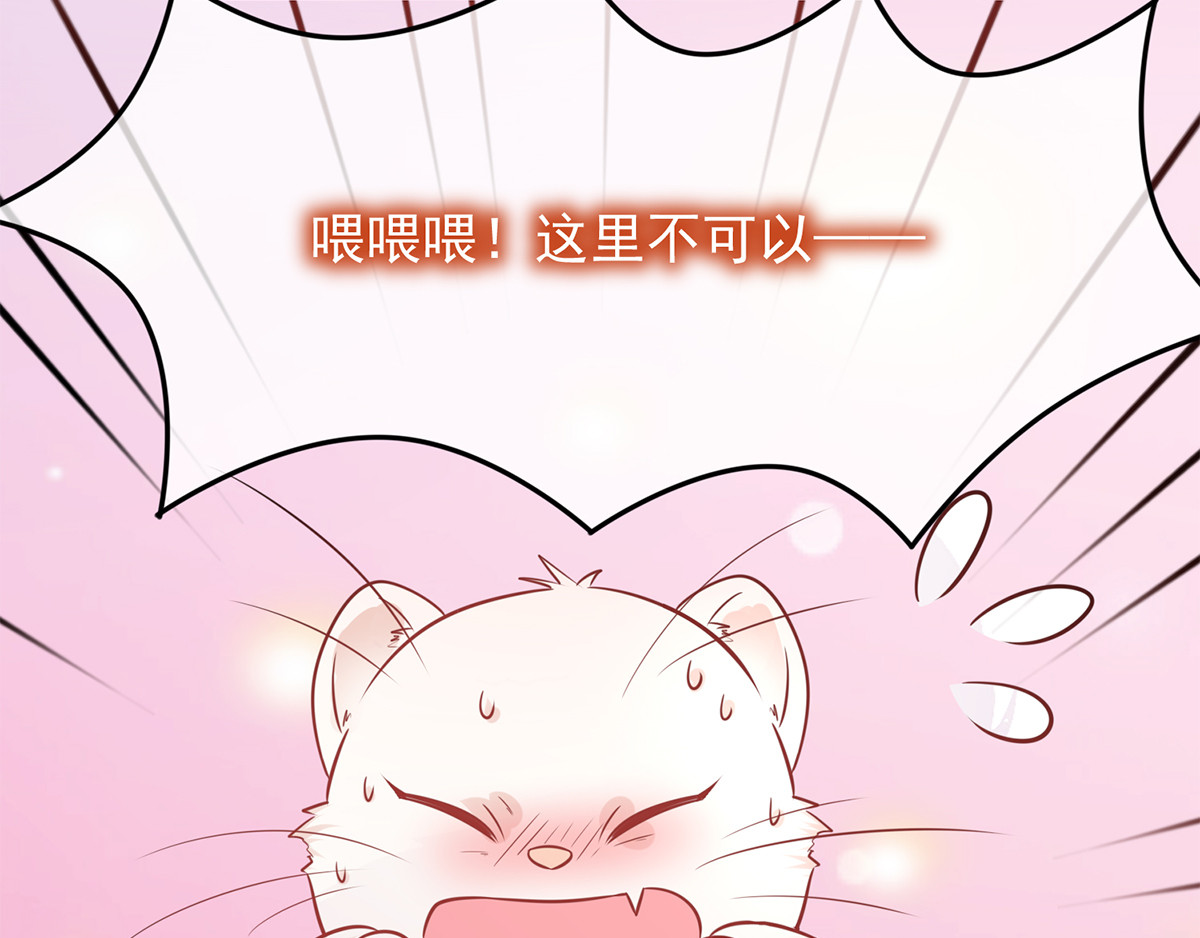 养兽为妃 第2话 你算什么东西 第156页