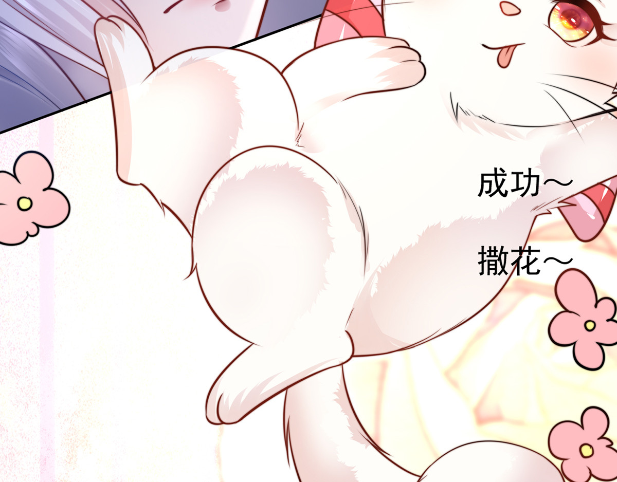养兽为妃 第2话 你算什么东西 第78页