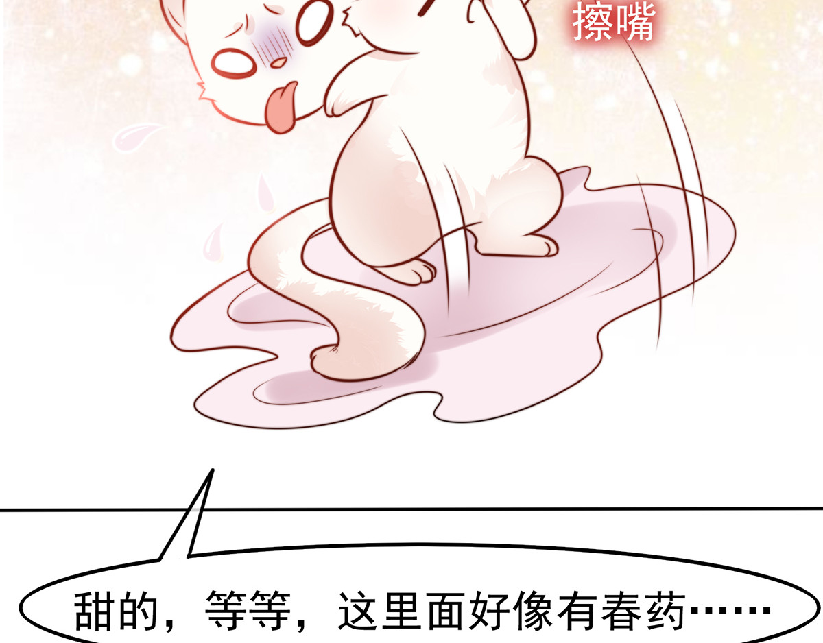 养兽为妃 第2话 你算什么东西 第92页