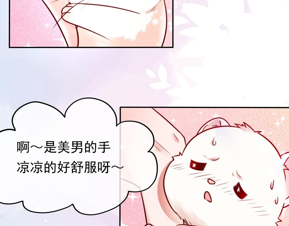 养兽为妃 第2话 你算什么东西 第98页