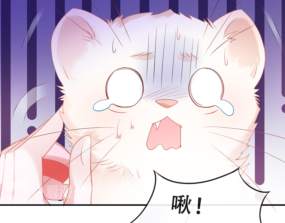 养兽为妃 第3话 我不是人，但你是真的狗 第25页