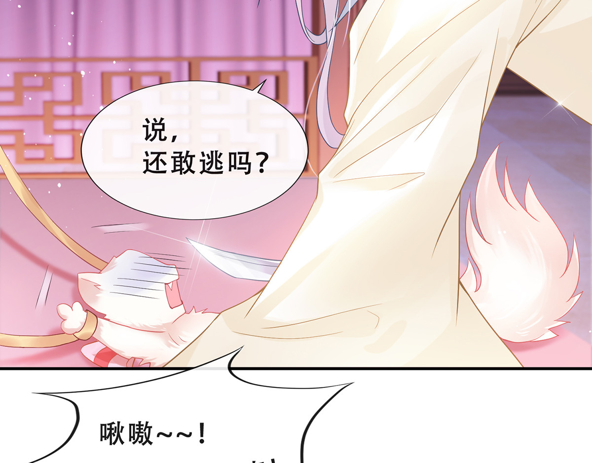 养兽为妃 第3话 我不是人，但你是真的狗 第29页