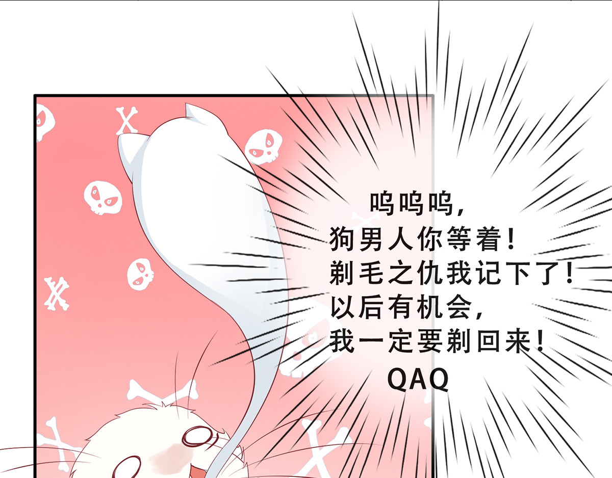 养兽为妃 第3话 我不是人，但你是真的狗 第36页