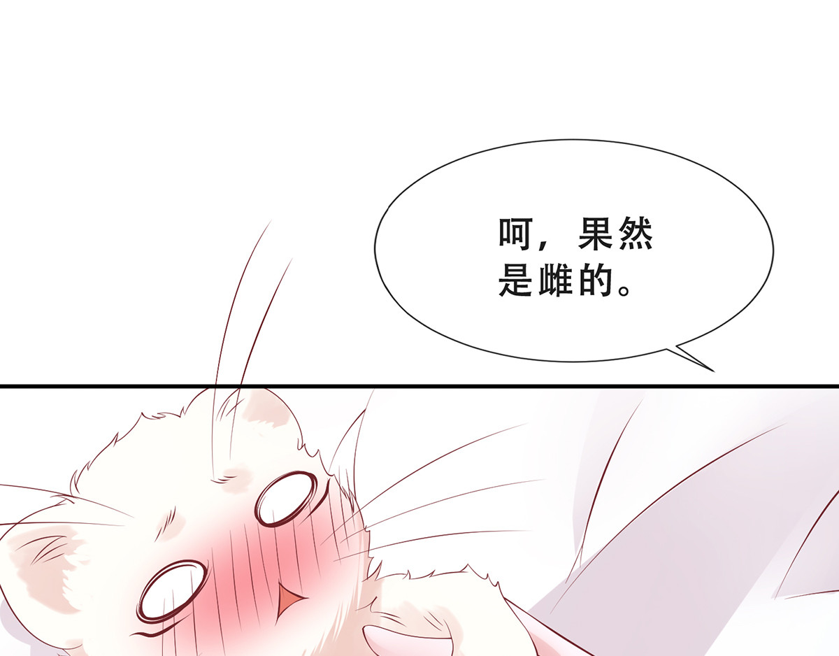 养兽为妃 第3话 我不是人，但你是真的狗 第39页