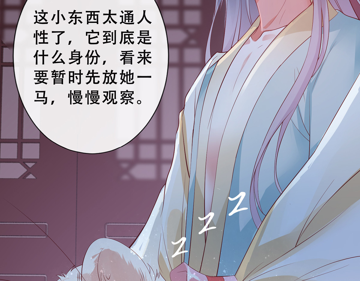 养兽为妃 第3话 我不是人，但你是真的狗 第43页