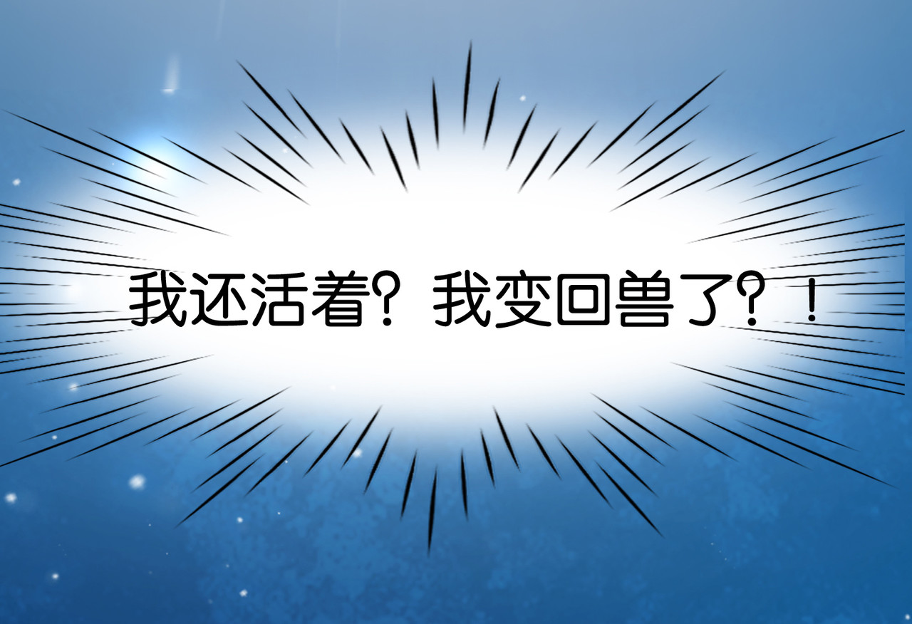 养兽为妃 第4话  让报复来的更猛烈些吧 第15页