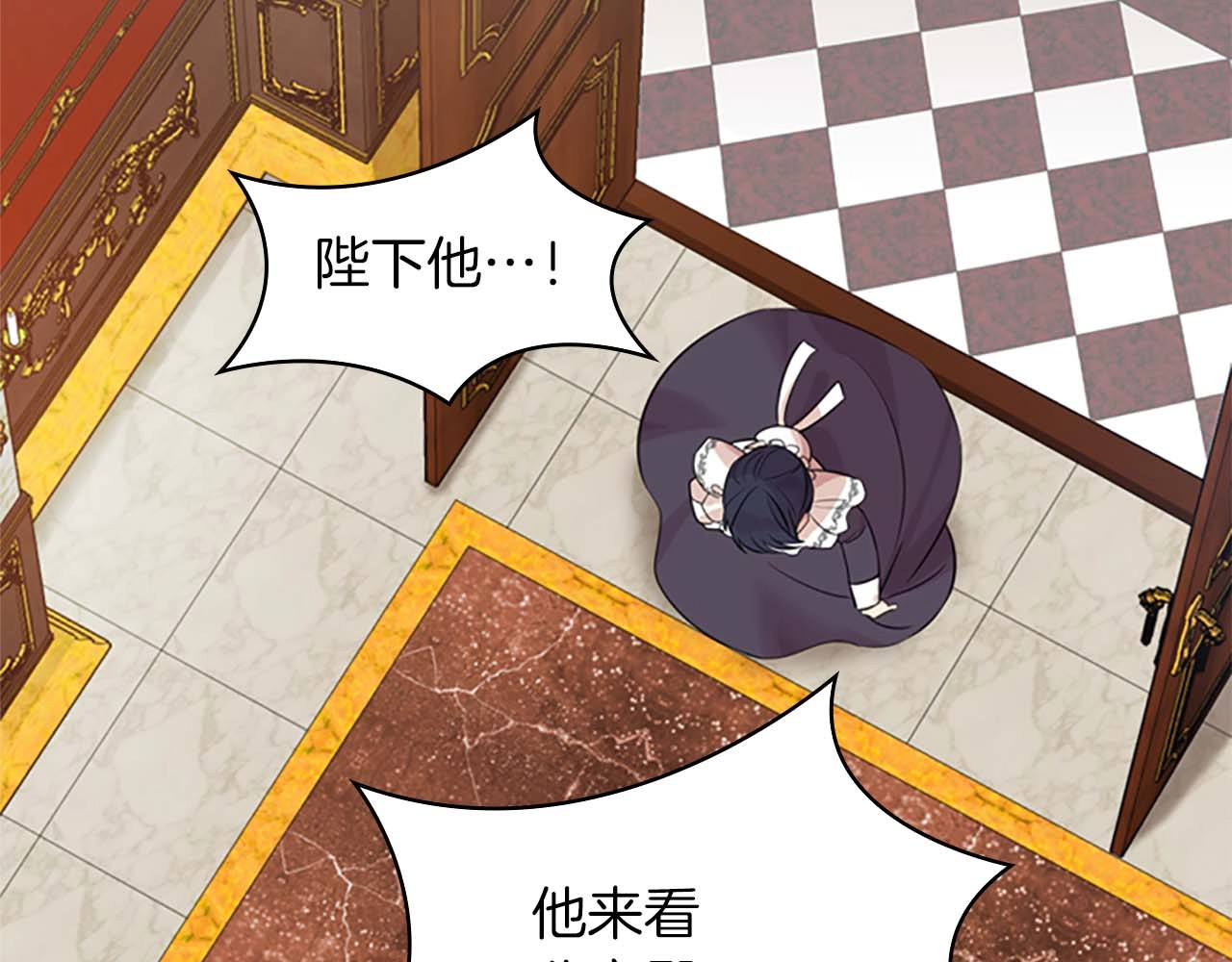 奶萌魔力小公主 第1话 百转千年的第三颗星星 第167页