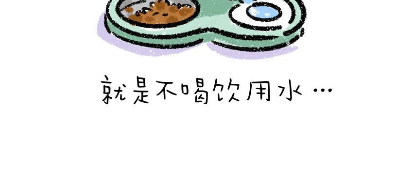 我和女儿 家里多了只猫 第5页