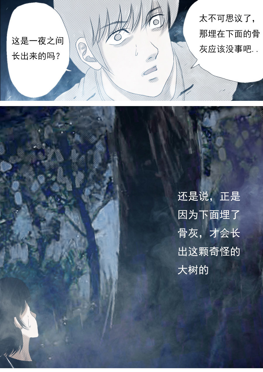 异人馆（1到2季） 第一章第二话蒲公英的约定（下） 第12页