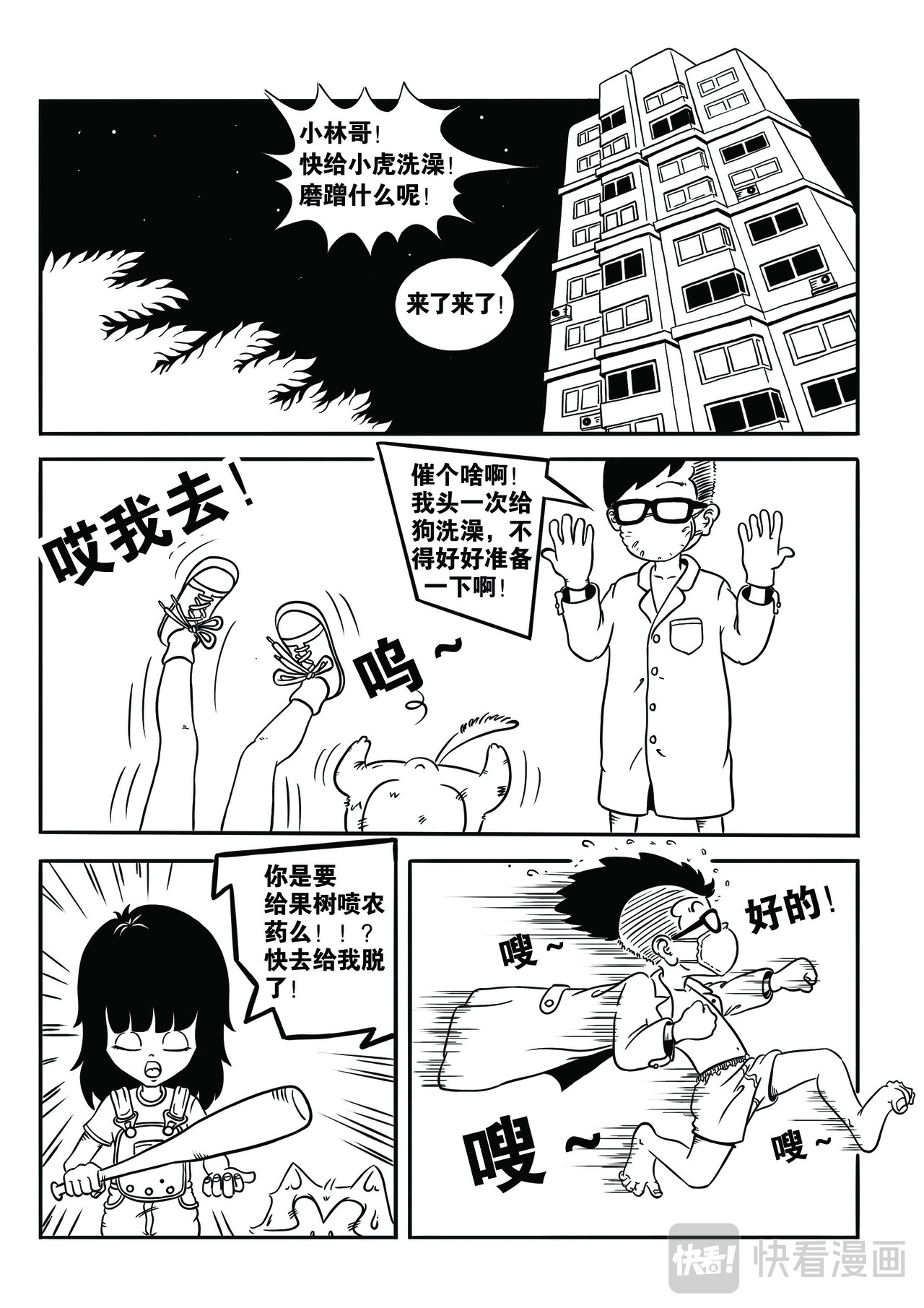 泰格虎 第5页