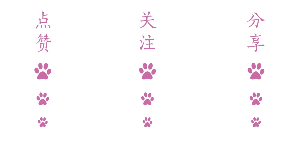 岂止钟情 第3话 他是路痴？ 第175页