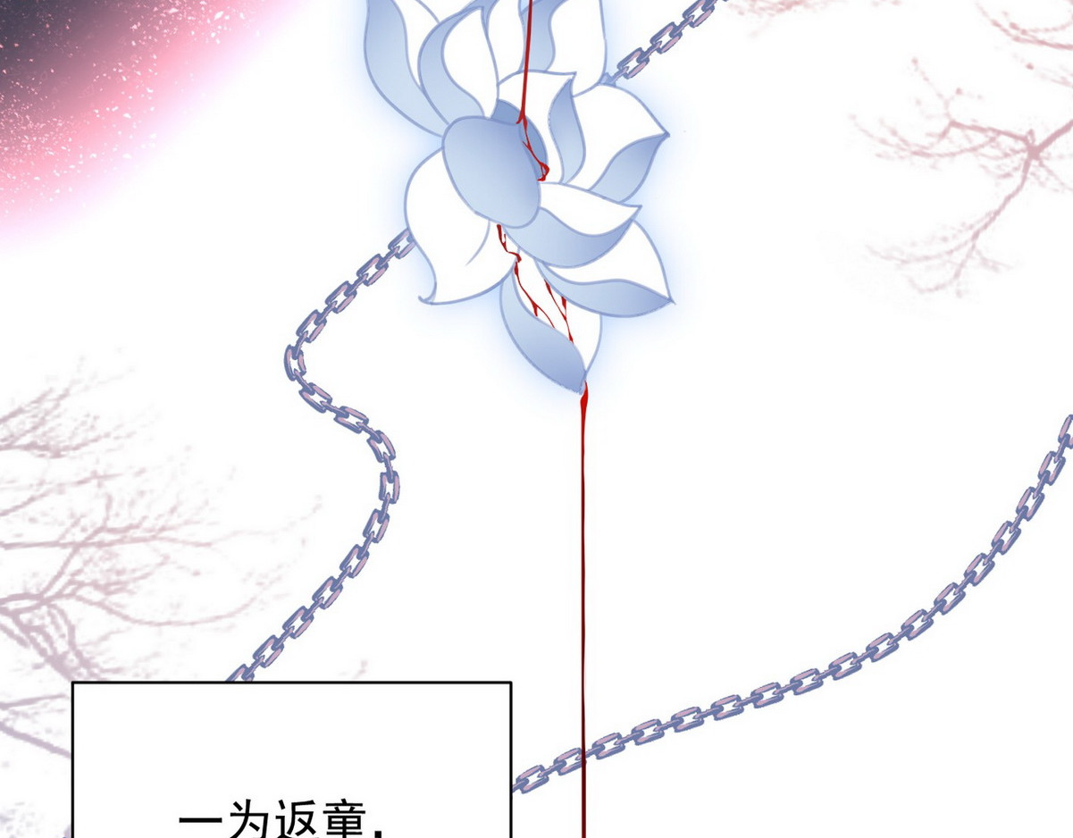 爆宠小萌妃 001 我胸没了 第85页