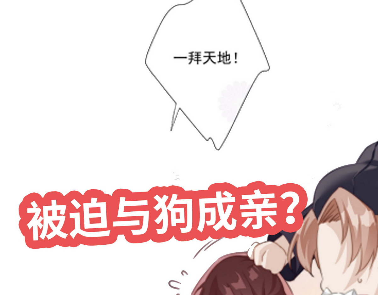 爆宠小萌妃 003 又见面具男 第89页