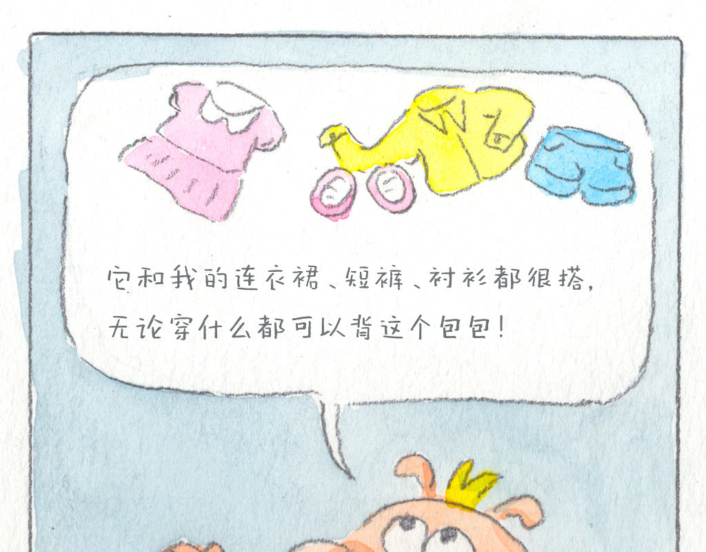 阿美是只猪 实用的包包 第10页