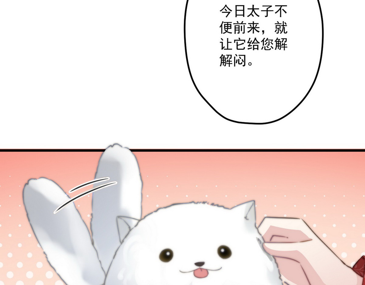 爆宠小萌妃 004 嫁给一只狗 第84页