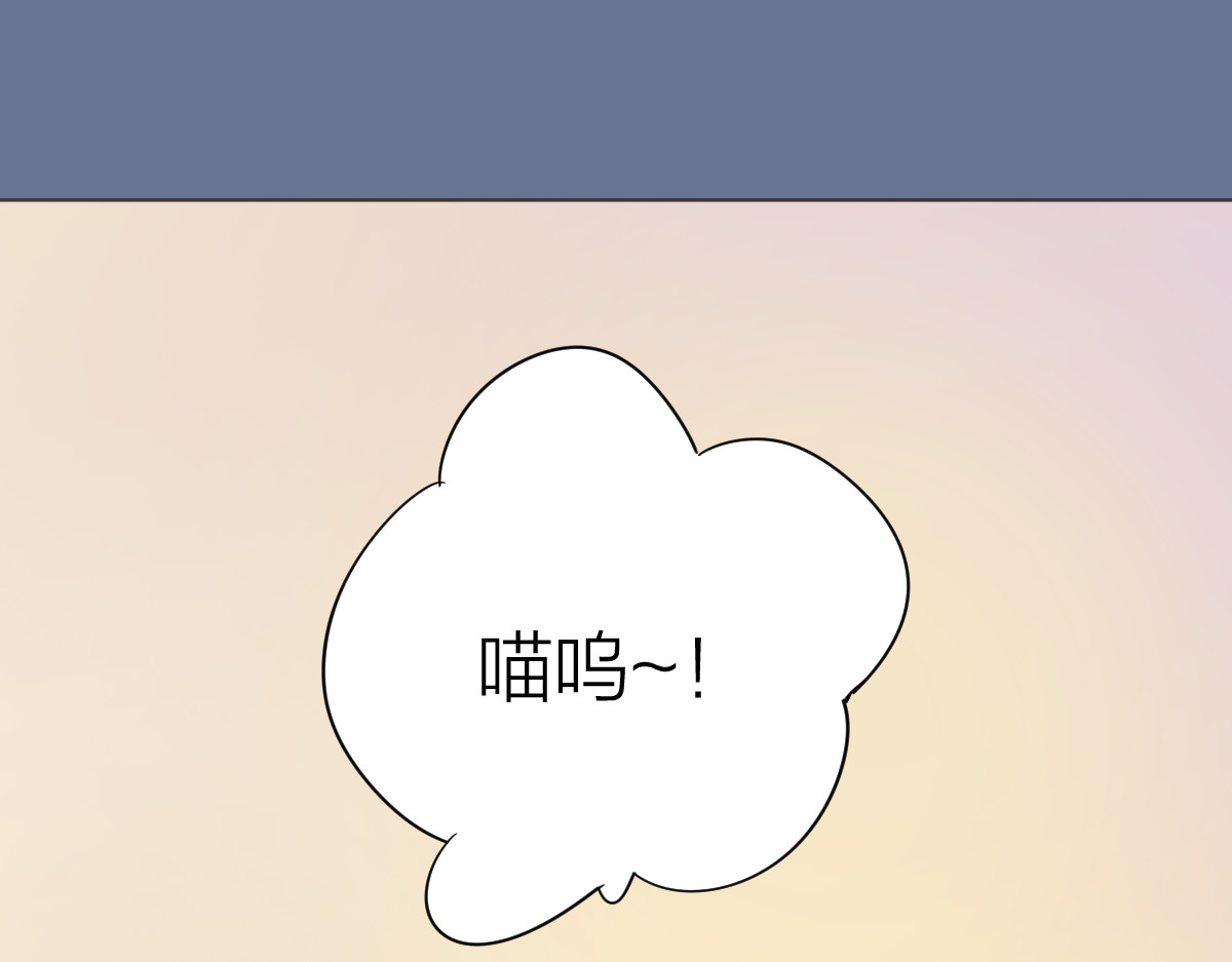 怪物恋人 第0+1话 遇到“变态”猫妖？ 第113页