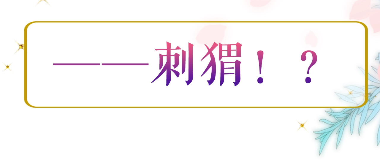 花和刺猬逃跑了 序章 撞入你的心 第14页