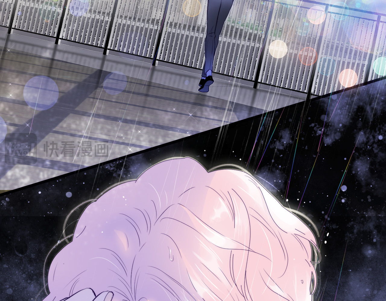 花和刺猬逃跑了 第1话 雨夜邂逅 第3页