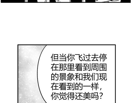 B ROSE 6 另辟蹊径 第87页