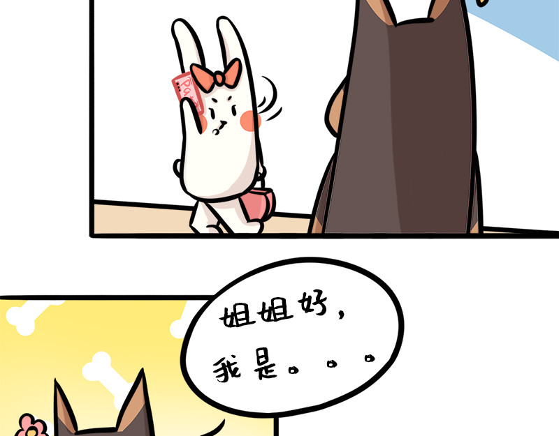 野生物口工作室 第3页