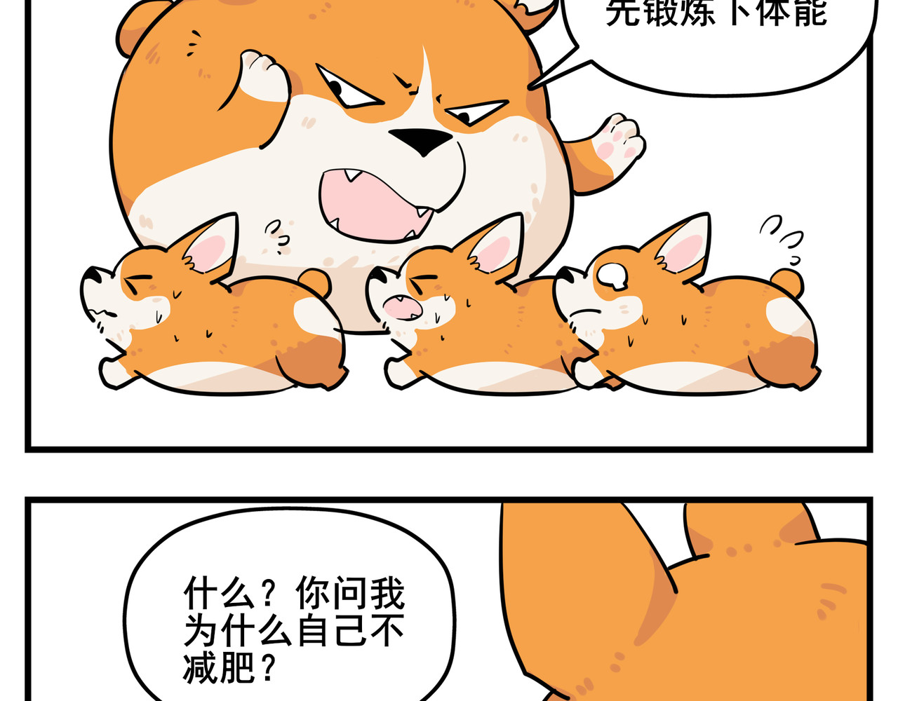 司基拉 司基拉的训练 第11页