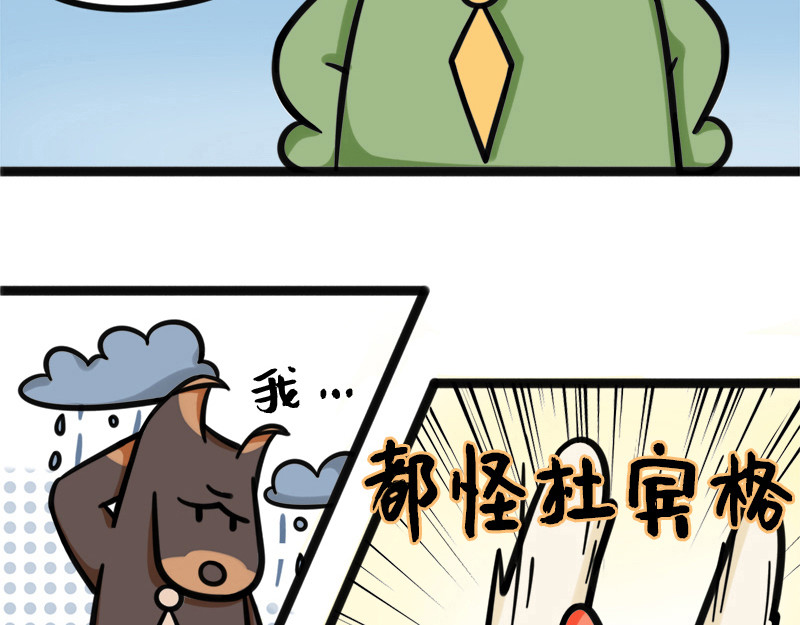 野生物口工作室 第4话 厉害的蒙泰熊 第2页