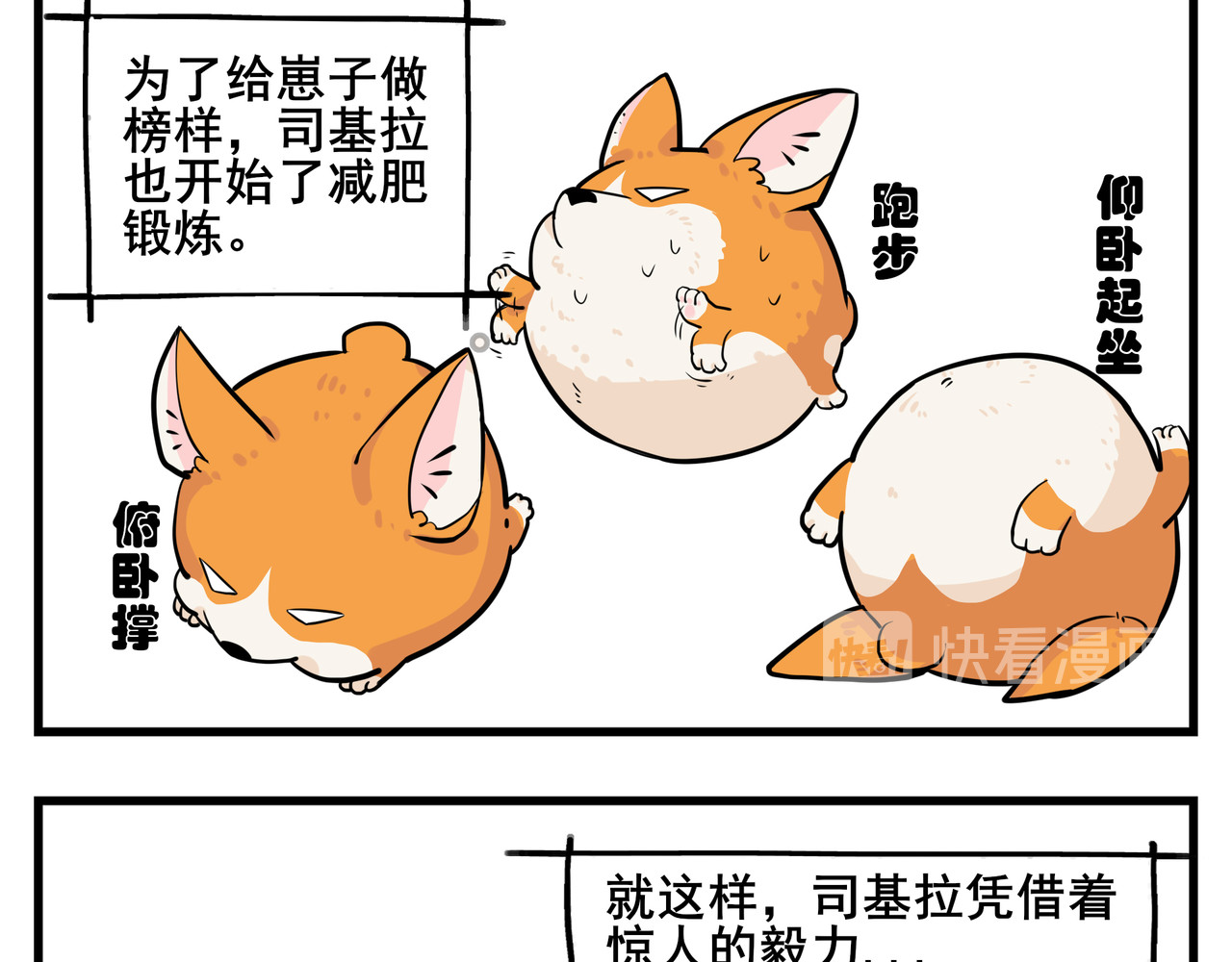 司基拉 工作前夕 第5页