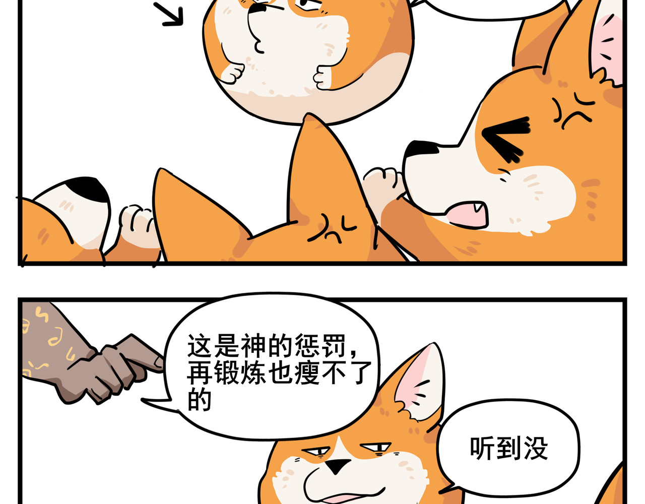 司基拉 工作前夕 第7页