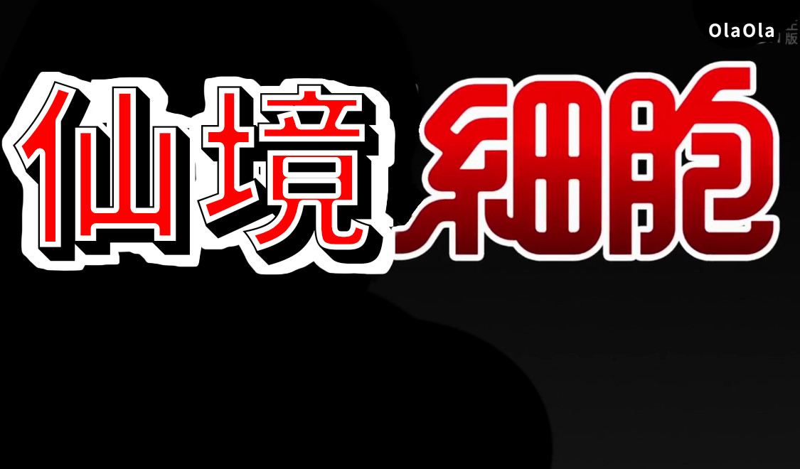 仙境之桥 Vol.6 第11页