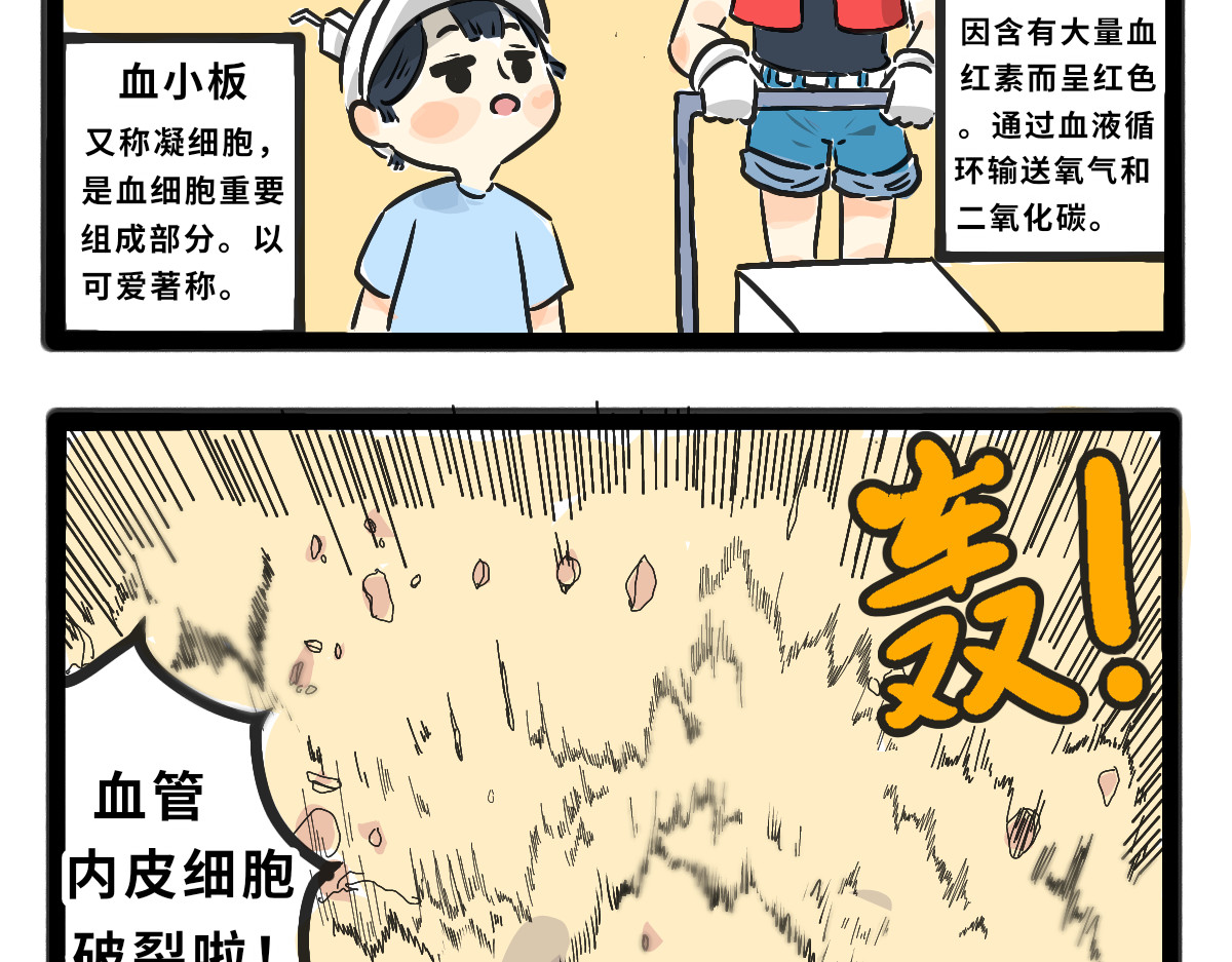 仙境之桥 Vol.6 第14页