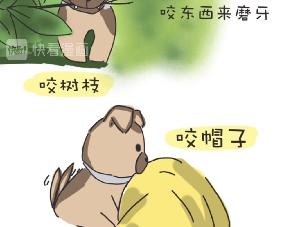 团哥二三事 第3页