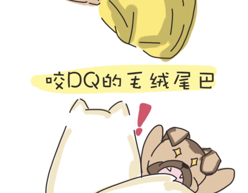 团哥二三事 第4页