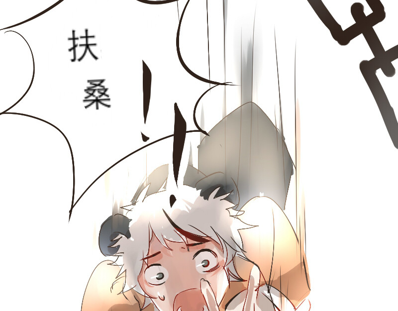 三垣 2.葬组织 第20页