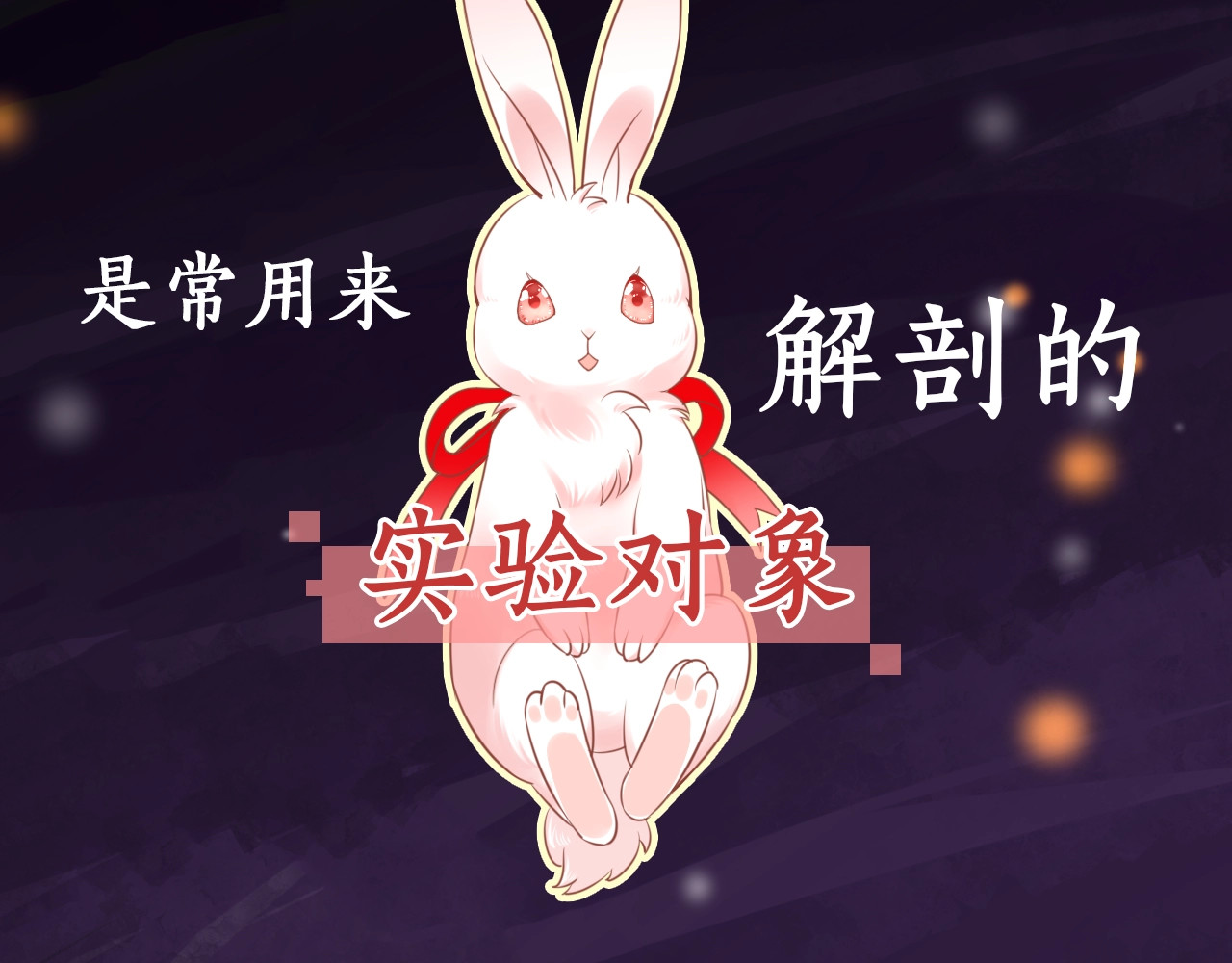 黑化男主在线养兔 序章 一起云养兔吧！ 第2页