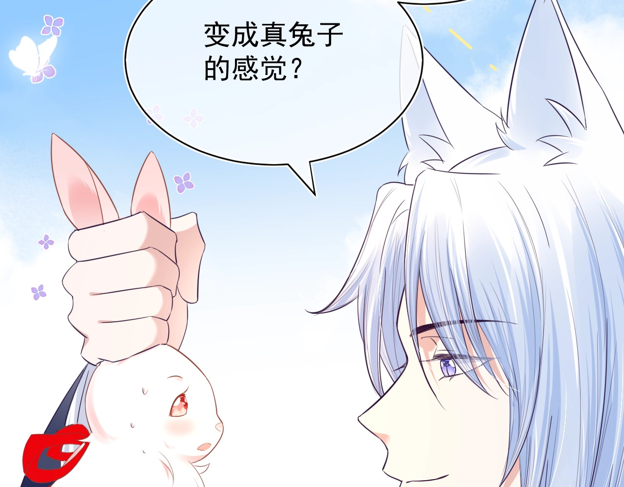 黑化男主在线养兔 序章 一起云养兔吧！ 第35页