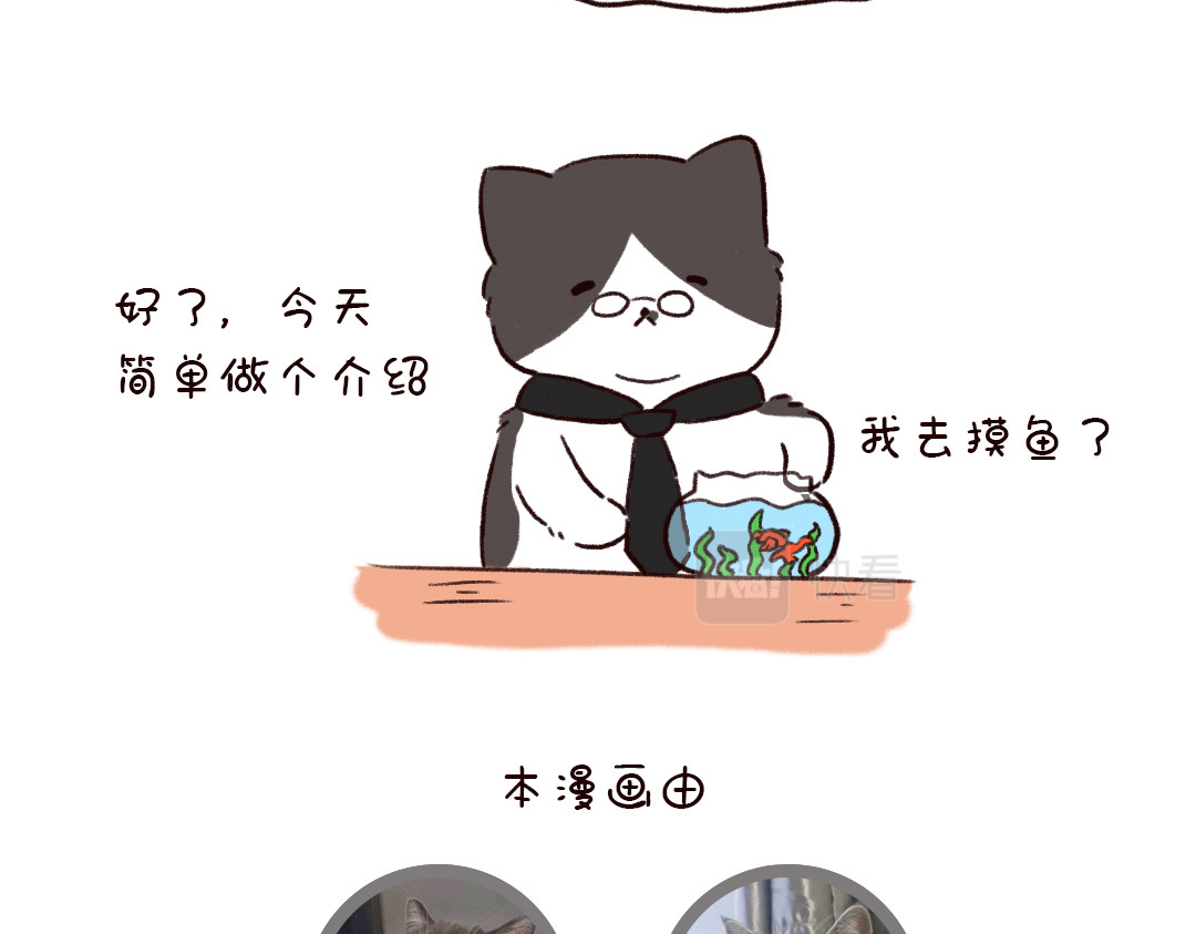 喵星球上班族 欢迎来到喵星球! 第12页