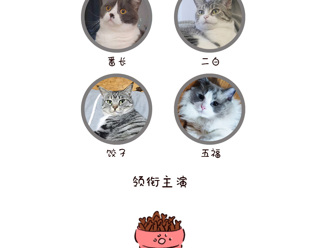 喵星球上班族 欢迎来到喵星球! 第13页