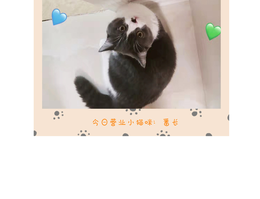 喵星球上班族 夭寿了，公司停水了! 第15页