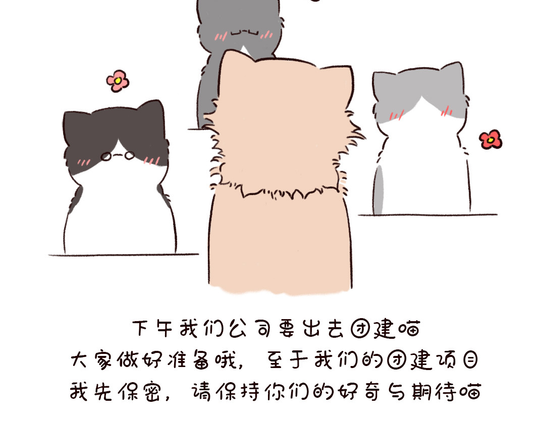 喵星球上班族 喵喵团建 第2页