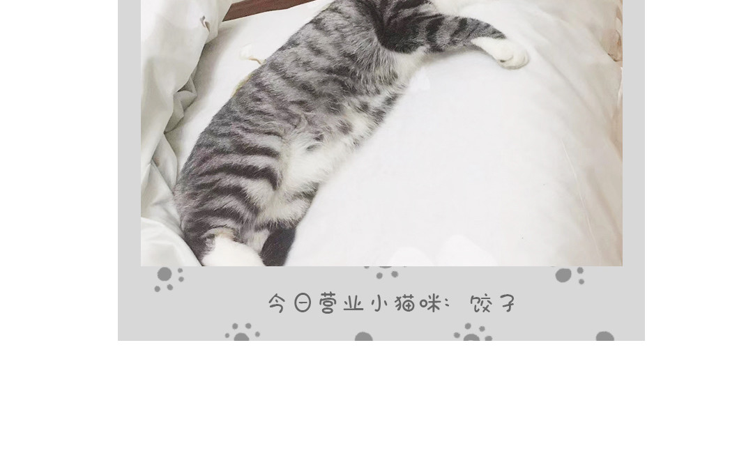 喵星球上班族 喵喵团建 第14页